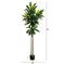 7ft. Potted Green Artificial Dracaena Tree with Real Touch Leaves